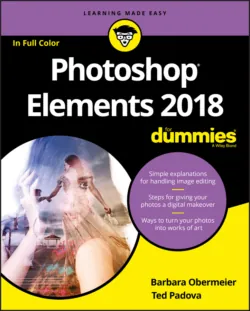 Photoshop Elements 2018 For Dummies - Barbara Obermeier