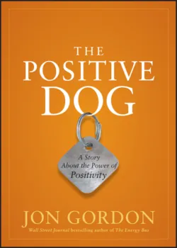 The Power of Positive Leadership. How and Why Positive Leaders Transform Teams and Organizations and Change the World, Джона Гордона audiobook. ISDN28278636