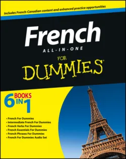 French All-in-One For Dummies - Consumer Dummies