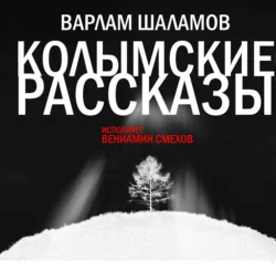 Припадок, аудиокнига Варлама Шаламова. ISDN22072457