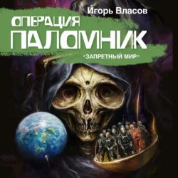 Операция Паломник - Игорь Власов Операция Паломник - Игорь Власов