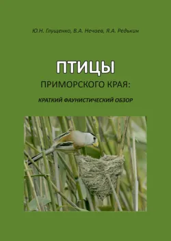 Птицы Приморского края: краткий фаунистический обзор - Ярослав Редькин