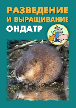 Разведение и выращивание ондатр - Илья Мельников