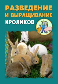 Разведение и выращивание кроликов - Илья Мельников