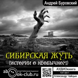 Медвежий ключ, аудиокнига . ISDN26534044