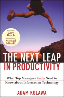 The Next Leap in Productivity. What Top Managers Really Need to Know about Information Technology, Adam Kolawa The Next Leap in Productivity. What Top Managers Really Need to Know about Information Technology, Adam Kolawa