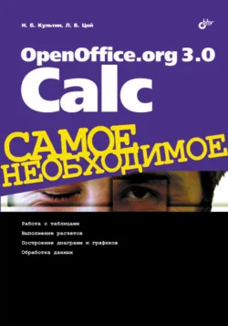 OpenOffice.org 3.0 Calc - Лариса Цой