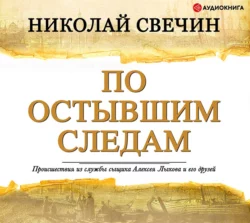 По остывшим следам - Николай Свечин По остывшим следам - Николай Свечин
