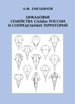Большой атлас мира. Больше интересных фактов, аудиокнига . ISDN74194896