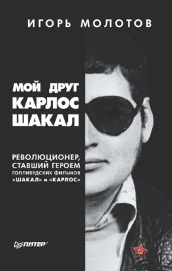 Виктор Бут. В погоне за мечтой, аудиокнига . ISDN68363189