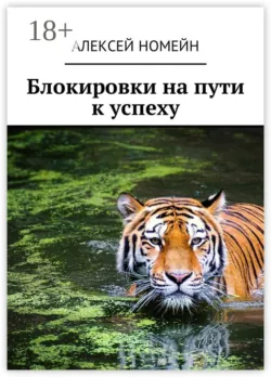 Блокировки на пути к успеху - Алексей Номейн