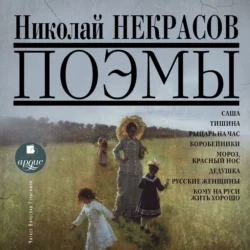 Поэмы - Николай Некрасов Поэмы - Николай Некрасов