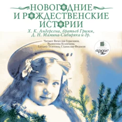Новогодние и рождественские истории, аудиокнига Коллектива авторов. ISDN307652