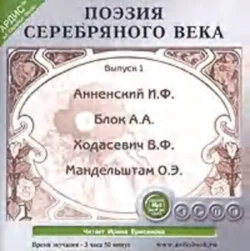 Веселый вечер. Шуточные сценки, песни, интермедии, аудиокнига Коллектива авторов. ISDN6661837