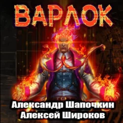 Герой для Системы, аудиокнига Александра Шапочкина. ISDN45032034