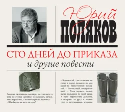 ЧП районного масштаба (сборник), аудиокнига Юрия Полякова. ISDN147295