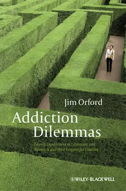 An Unsafe Bet? The Dangerous Rise of Gambling and the Debate We Should Be Having, Jim  Orford аудиокнига. ISDN31231489