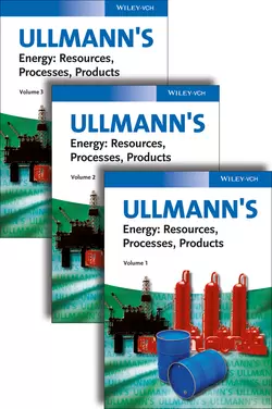 Ullmann′s Fine Chemicals,  аудиокнига. ISDN31242425