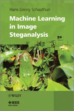 Machine Learning in Image Steganalysis - Hans Schaathun