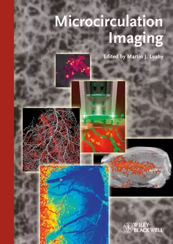 Microcirculation Imaging - Martin Leahy