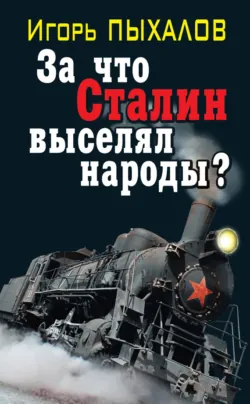 Самые подлые мифы о Сталине. Клеветникам Вождя, аудиокнига . ISDN64028602