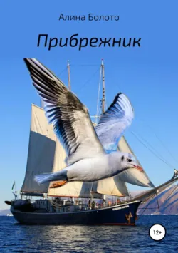 Тайфун в закрытом секторе, аудиокнига . ISDN30834112
