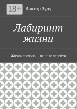 Лабиринт жизни, Виктор Зуду