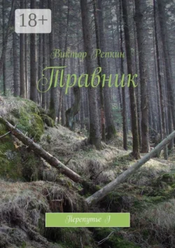 Травник. Перепутье I, Виктор Репкин