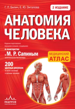 Анатомия человека Елена Зигалова и Габриэль Билич