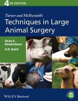 Turner and McIlwraith′s Techniques in Large Animal Surgery - Hendrickson Dean