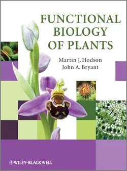 Functional Biology of Plants - John A. Bryant Functional Biology of Plants - John A. Bryant