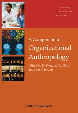 A Companion to Organizational Anthropology - Caulkins D. A Companion to Organizational Anthropology - Caulkins D.