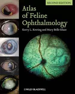 Atlas of Feline Ophthalmology Glaze Mary и Ketring Kerry