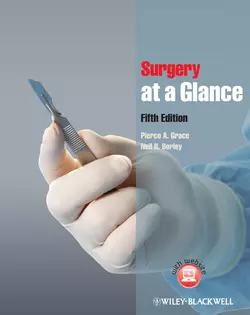 Surgery at a Glance Borley Neil и Grace Pierce