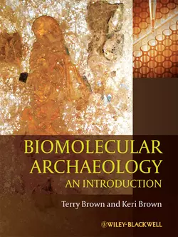 Biomolecular Archaeology. An Introduction - Brown T. Biomolecular Archaeology. An Introduction - Brown T.