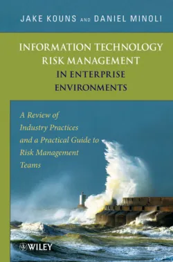 Information Technology Risk Management in Enterprise Environments. A Review of Industry Practices and a Practical Guide to Risk Management Teams - Minoli Daniel