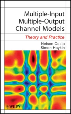 Multiple-Input Multiple-Output Channel Models. Theory and Practice - Costa Nelson