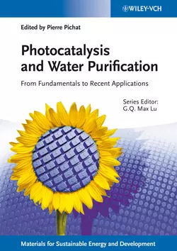 Photocatalysis and Water Purification. From Fundamentals to Recent Applications - Lu Max Photocatalysis and Water Purification. From Fundamentals to Recent Applications - Lu Max