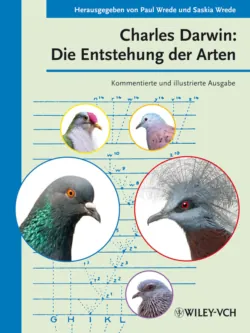 Charles Darwin. Die Entstehung der Arten - Wrede Paul