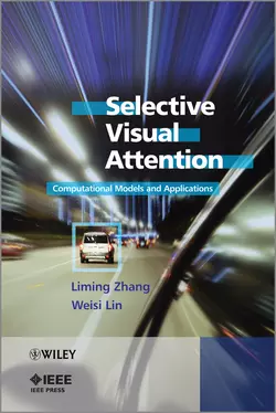 Selective Visual Attention. Computational Models and Applications, Lin Weisi