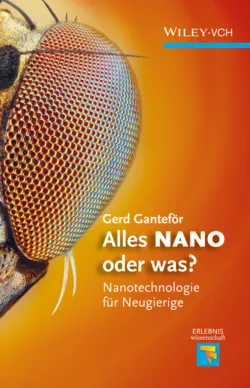 Alles NANO - oder was?. Nanotechnologie für Neugierige - Gerd Ganteför