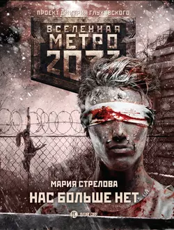 Метро 2033: Призраки прошлого, аудиокнига Марии Стреловой. ISDN42563735