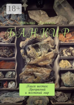 Банкир. Книга шестая: Прекрасный и жестокий мир Василий Лягоскин
