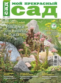 Мой прекрасный сад №08/2018