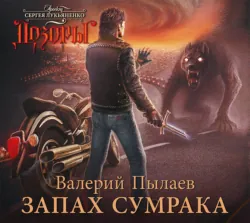 Видящий. Ярл, аудиокнига . ISDN63107747