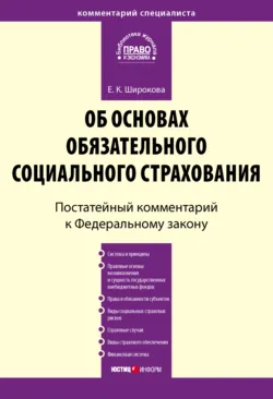 Комментарий к Федеральному закону от 16 июля 1999 г. № 165-ФЗ «Об основах обязательного социального страхования» (постатейный) - Евгения Широкова