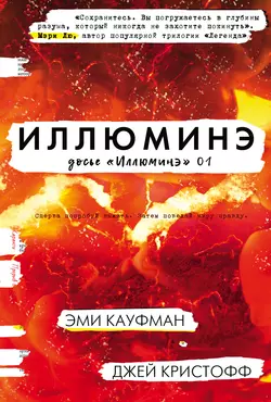 Ледяные волки, аудиокнига Эми Кауфман. ISDN67832852