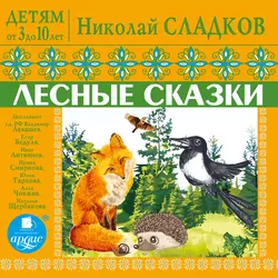 Суд над Декабрём, аудиокнига Николая Сладкова. ISDN4776255