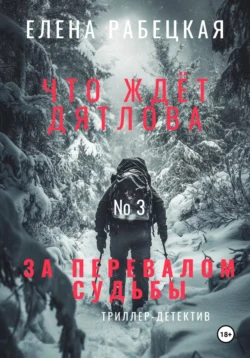 Что ждёт Дятлова за перевалом судьбы. Том 3. Расследование, Алессия Риторина