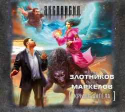 Крыло ангела, Роман Злотников
